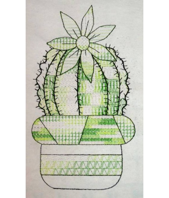 Mandala Flowering Cactus