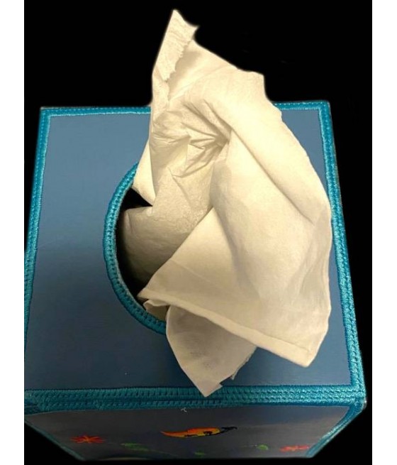 In Hoop Tissue Box Cover Snot