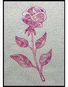 Mandala Long Stem Rose