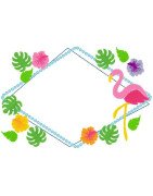 Monogram Frame Flamingo