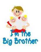 boy-big-brother-with-twins