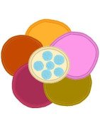 m2m-gymbo-applique-flower