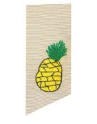 pineapple-2-teeny