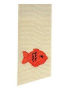 goldfish-2-teeny