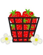 basket-of-berries-applique-mega-hoop-design