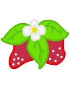 fresh-berries-applique-mega-hoop-design