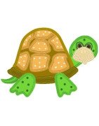 applique-turtle-mega-hoop-design