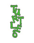turtles-mega-hoop-design