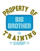 Property Big Brother