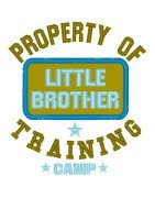 Property Little Brother