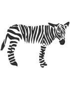 Abstract Zebra