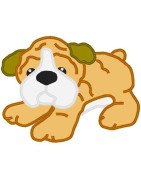 Cute Bulldog