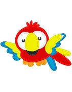 Colorful Bird