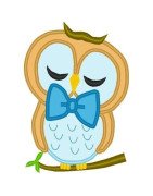 Bow Tie Owl