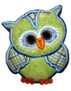 Cute Little Owl
