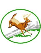 Deer Jump