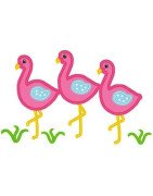 Flamingos