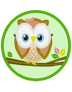 Owl in Cirlcle