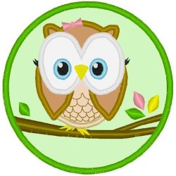 Owl in Cirlcle