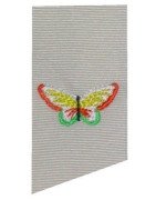 colorful-butterfly-teeny