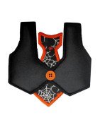 Vest and Tie