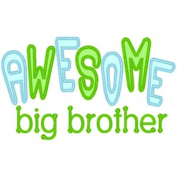 Awesome Big Brother