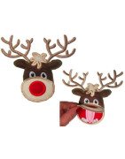 Reindeer
