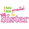 Promoted Sister