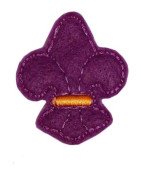 FleurdeLis Clippie