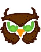 Owl Face