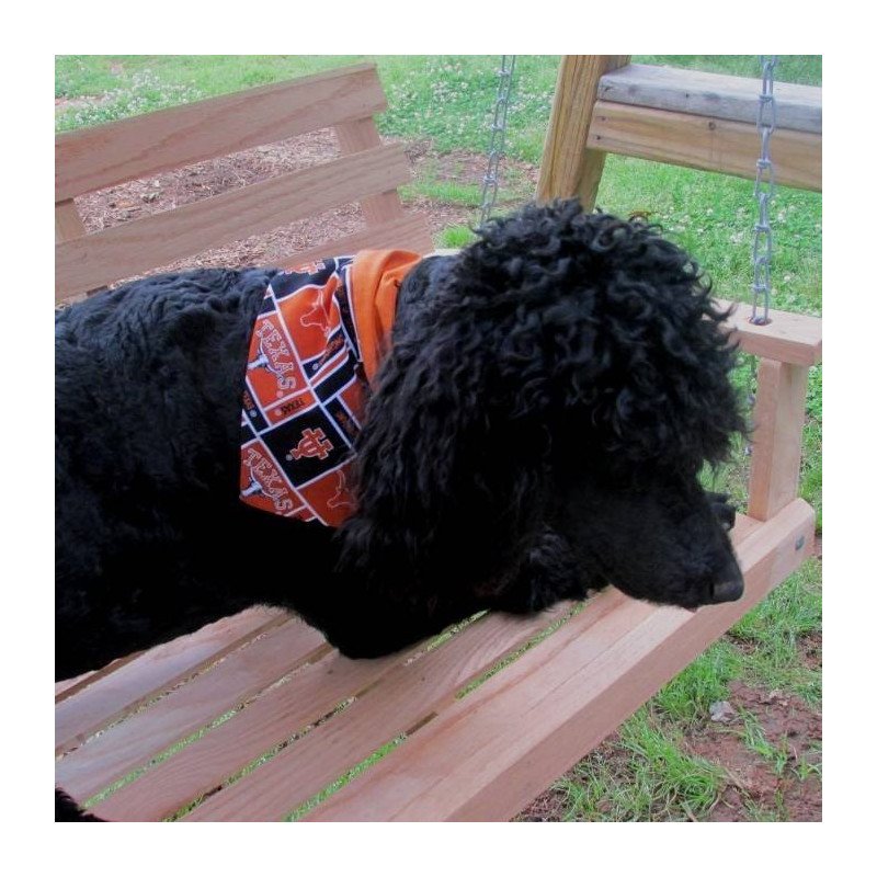 In Hoop Pet Designs